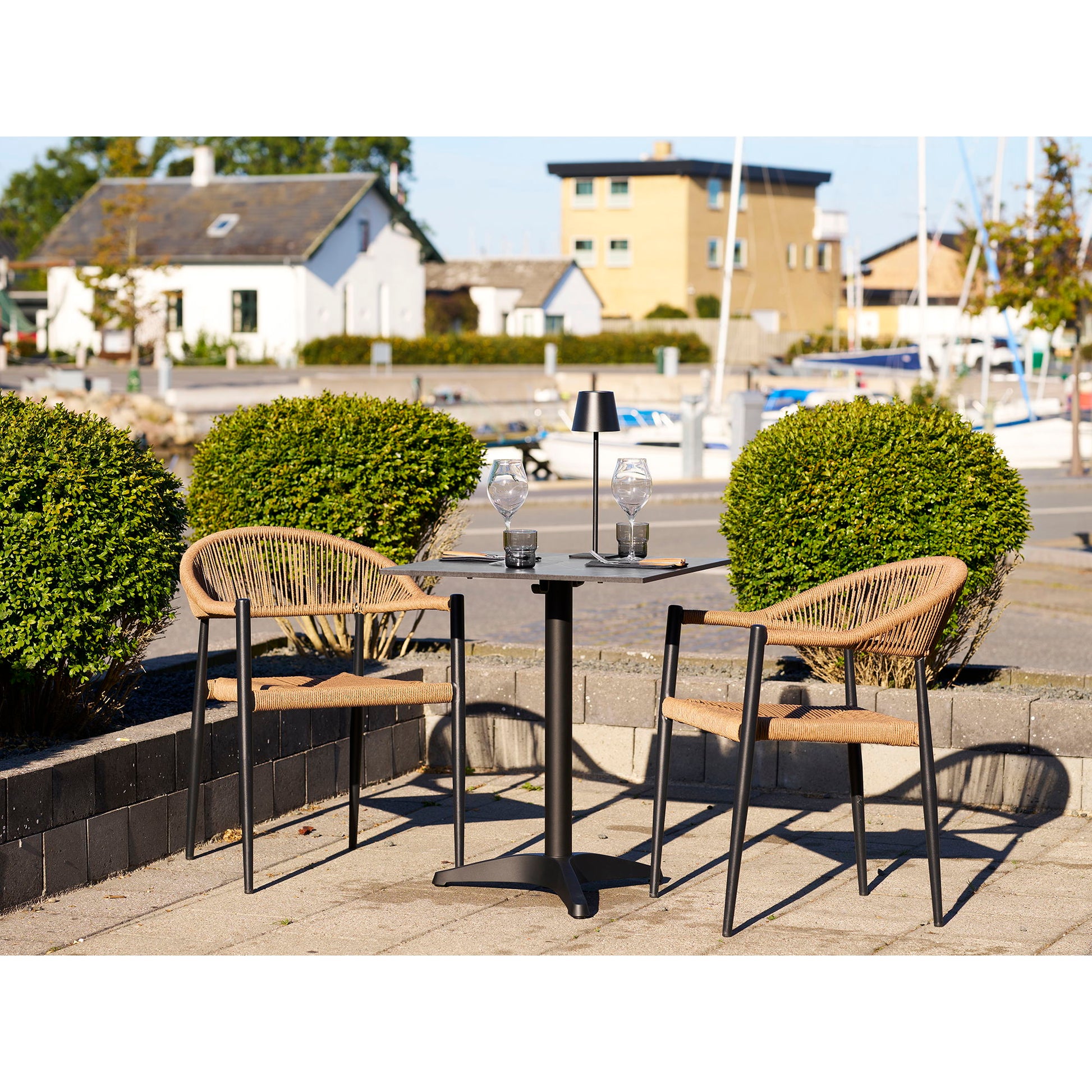 Canari Dining Chair